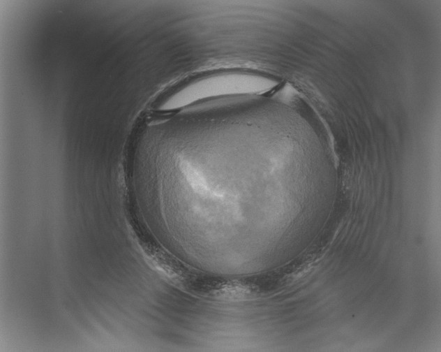 X0000071910256200608041416