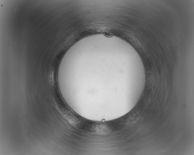 X0000071910262200608041416