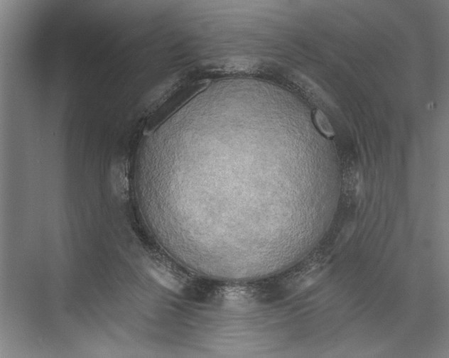 X0000071910264200608041416