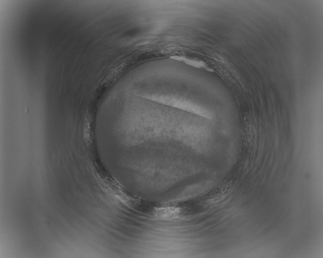 X0000071910266200608041416