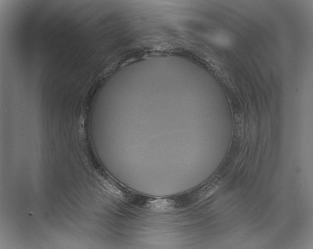 X0000071910269200608041416