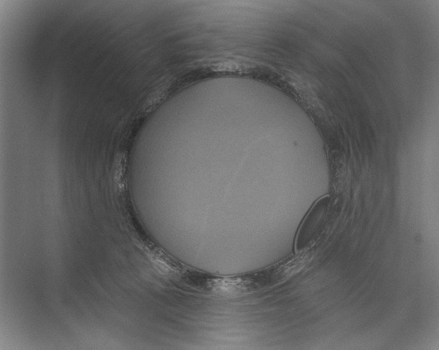 X0000071910273200608041417