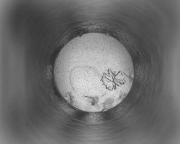 X0000071910278200608041417