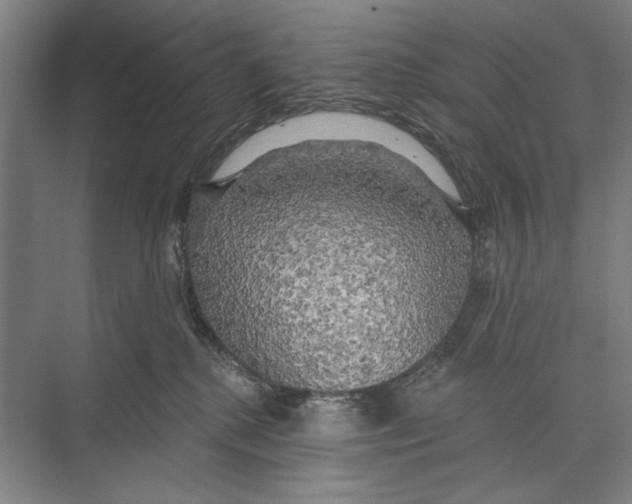 X0000071910280200608041417