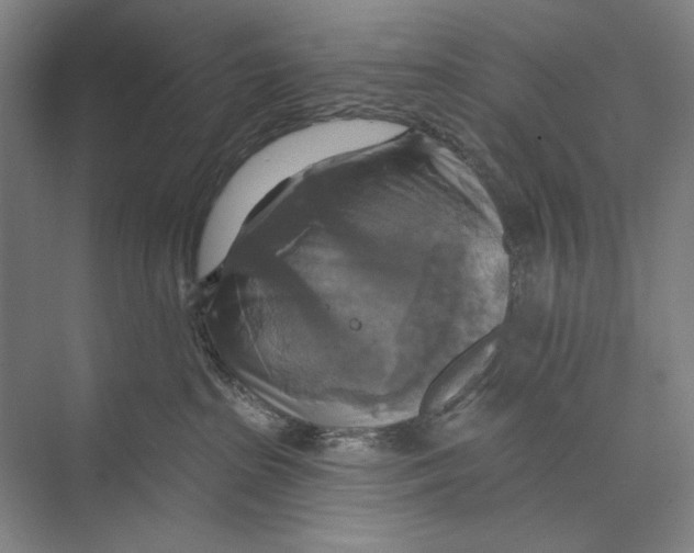 X0000071910285200608041417