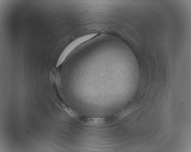 X0000071910288200608041417