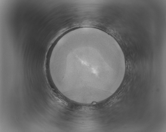 X0000071910292200608041416