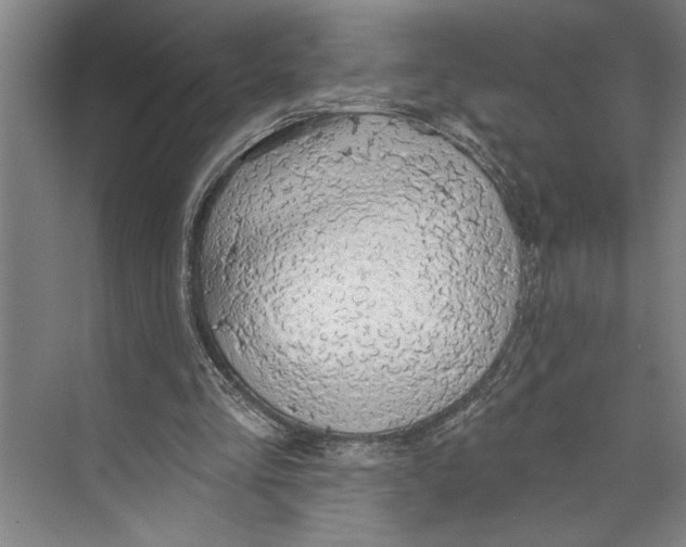 X0000071910293200608041416
