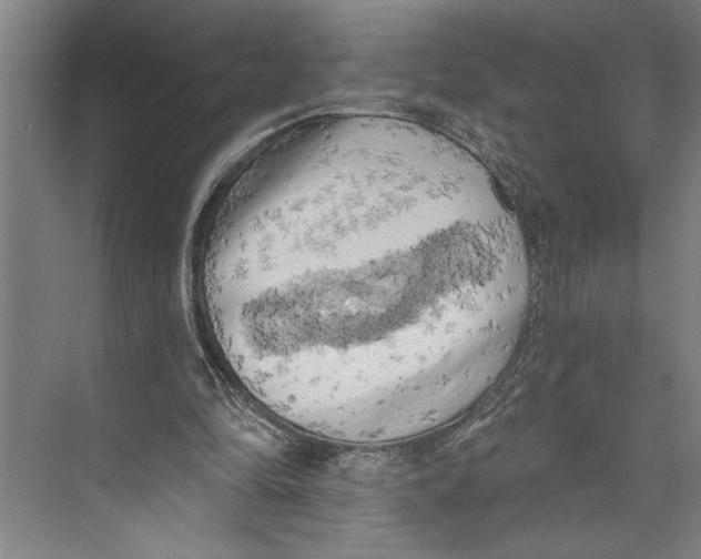 X0000071910294200608041416