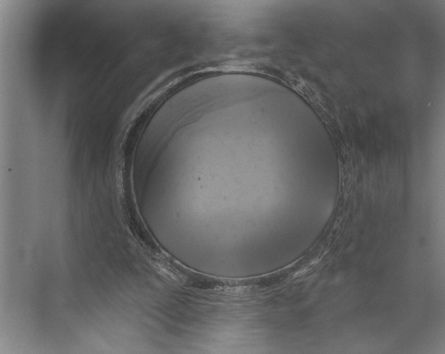 X0000071910295200608041416