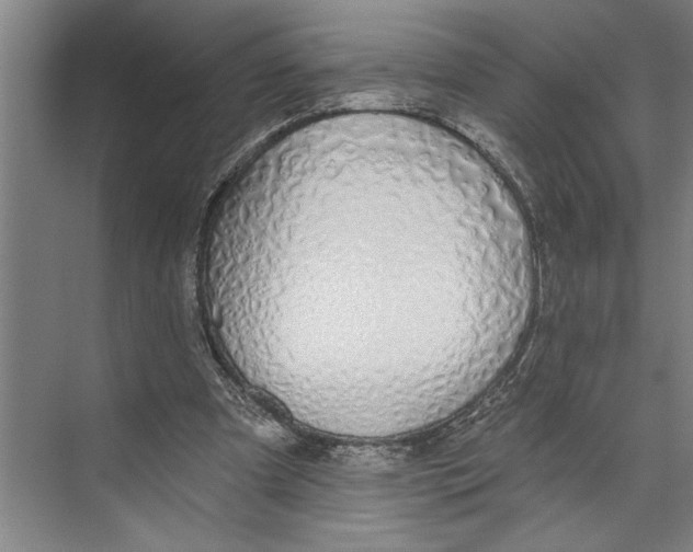 X0000071910297200608041416