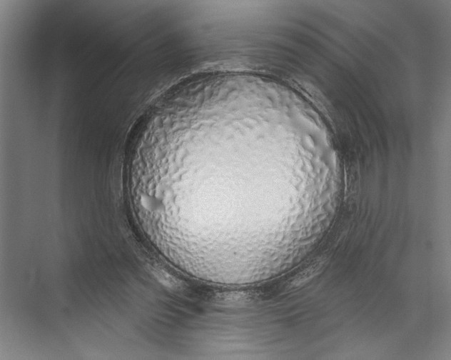 X0000071910301200608041416