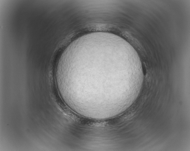 X0000071910306200608041416
