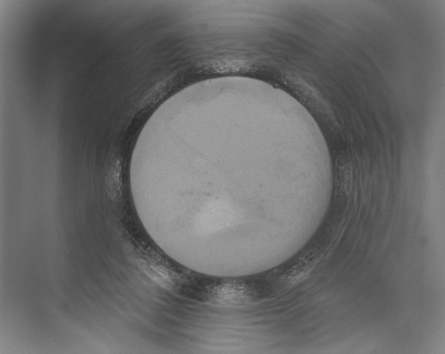 X0000071910308200608041416