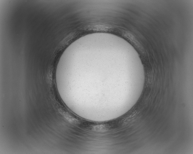 X0000071910309200608041416