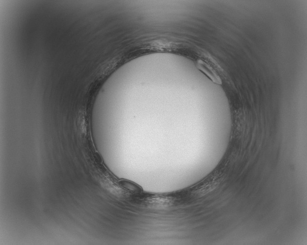 X0000071910313200608041416