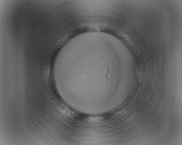 X0000071910314200608041416