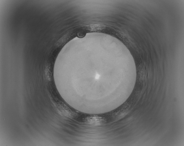 X0000071910316200608041416