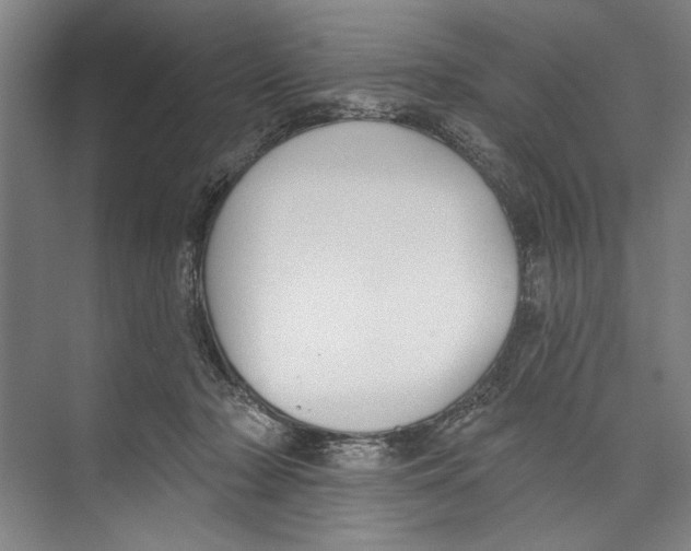 X0000071910318200608041415