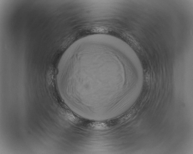 X0000071910322200608041415