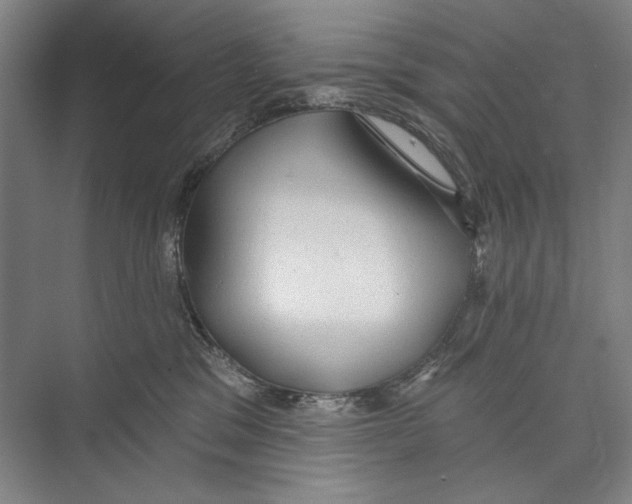 X0000071910329200608041415