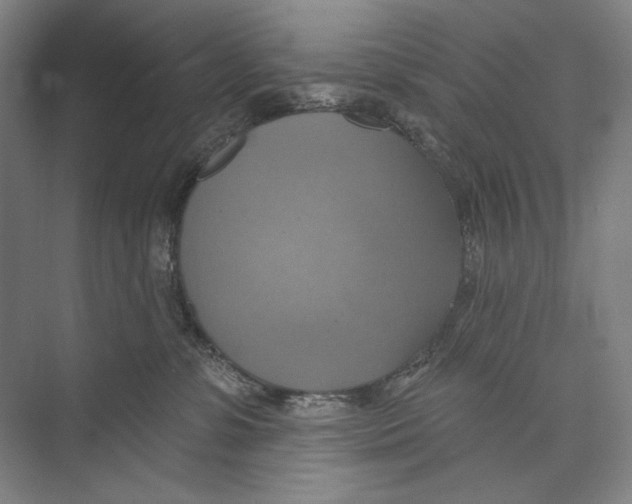 X0000071910331200608041415
