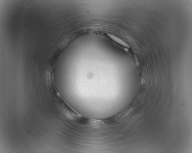 X0000071910333200608041415