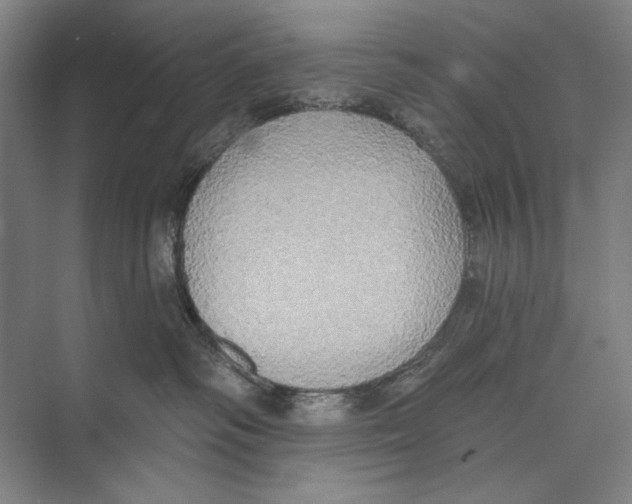 X0000071910334200608041415