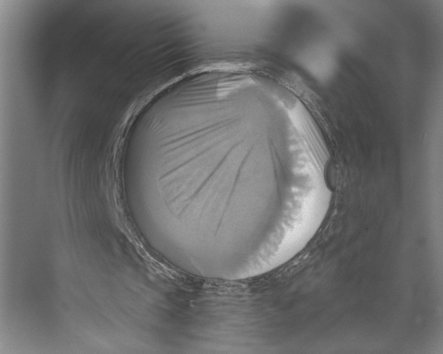 X0000071910337200608041414