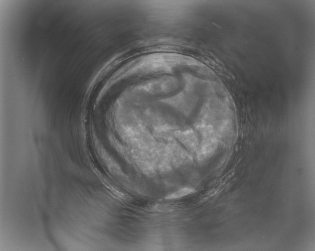 X0000071910341200608041414