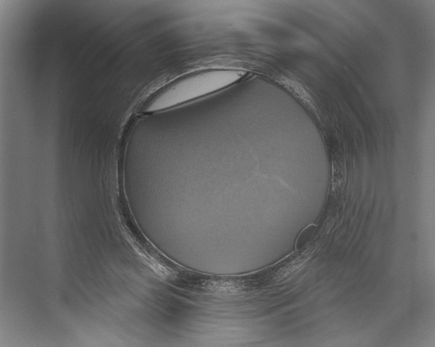 X0000071910349200608041415