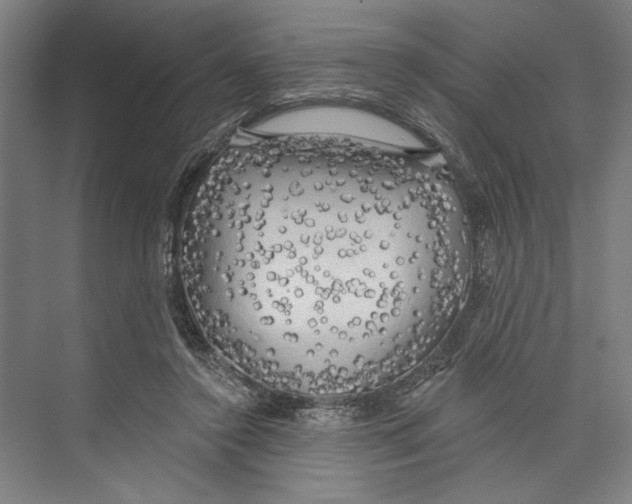 X0000071910356200608041415