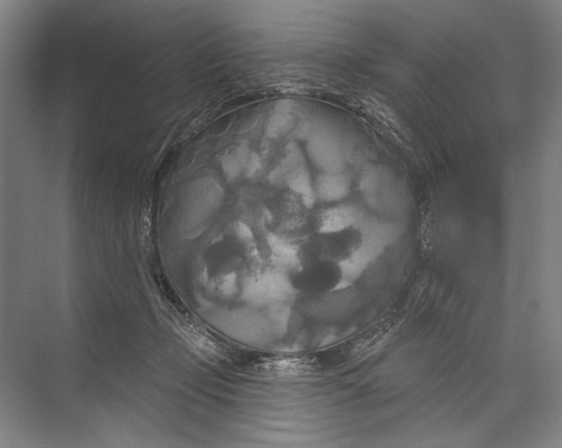 X0000071910365200608041415