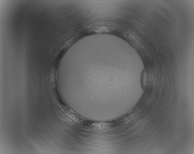 X0000071910367200608041415