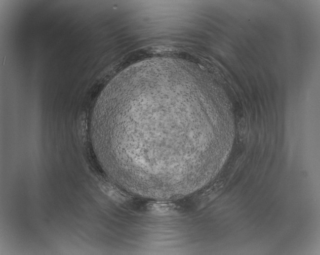 X0000071910372200608041415