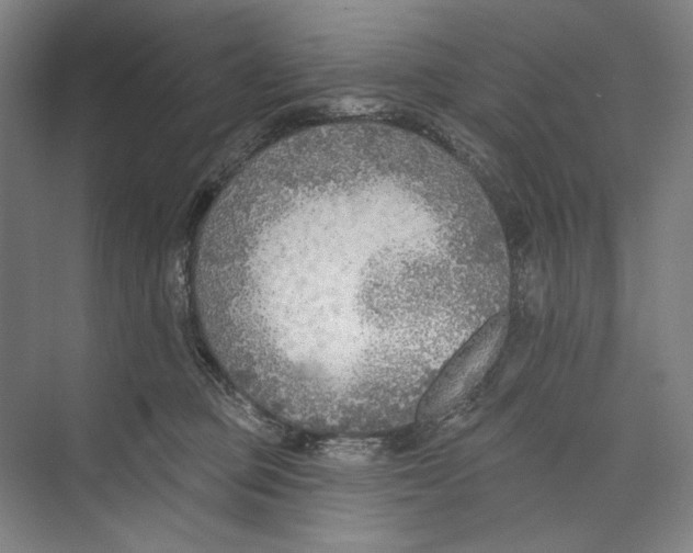 X0000071910373200608041415