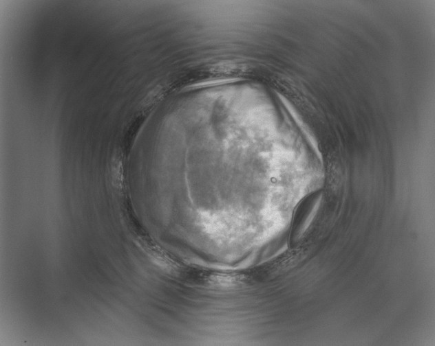 X0000071910375200608041415