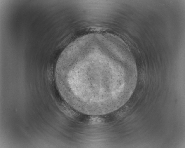 X0000071910376200608041415