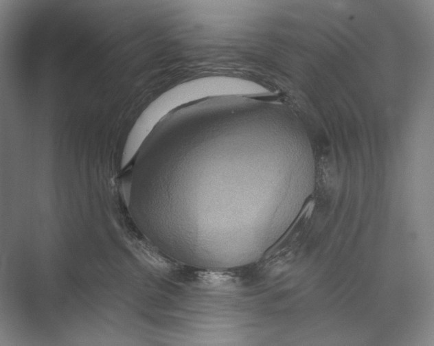 X0000071910380200608041415