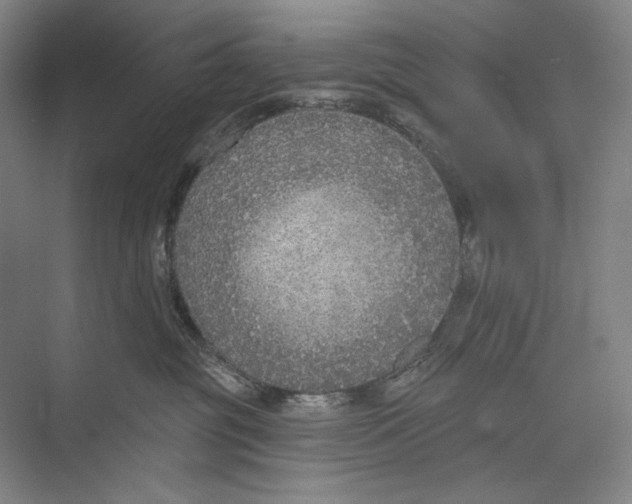 X0000071910381200608041415