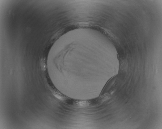 X0000071910383200608041415