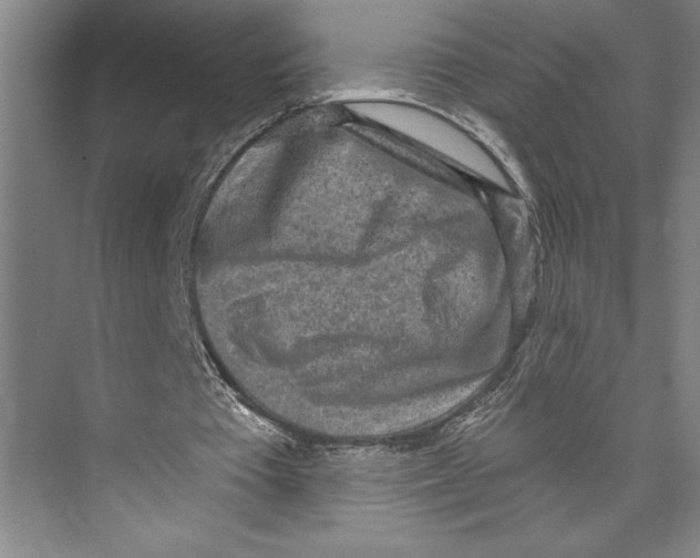 X0000071910385200608041414