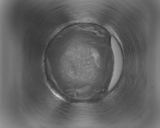 X0000071910389200608041414