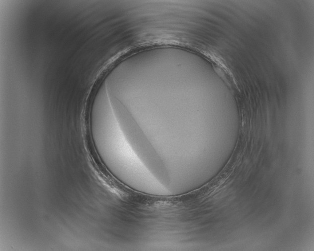 X0000071910390200608041414