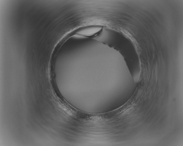 X0000071910391200608041414