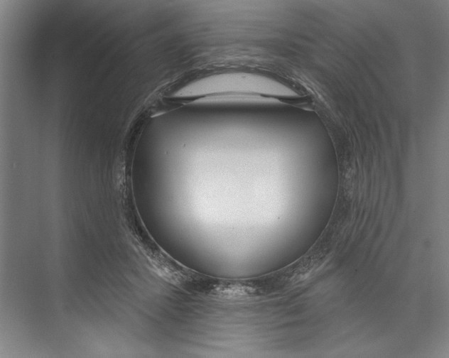 X0000071910407200608041414