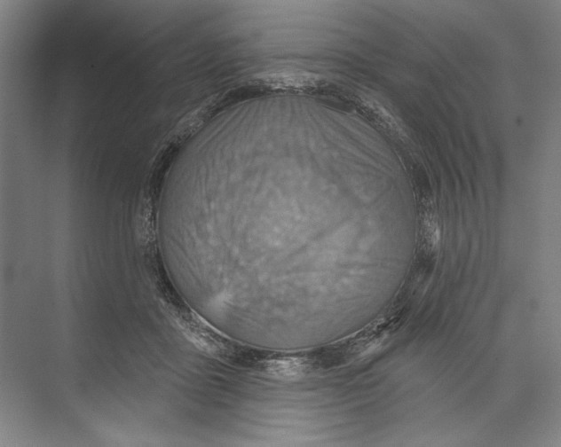 X0000071910411200608041414