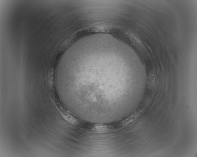 X0000071910413200608041414