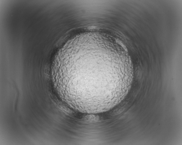 X0000071910421200608041414