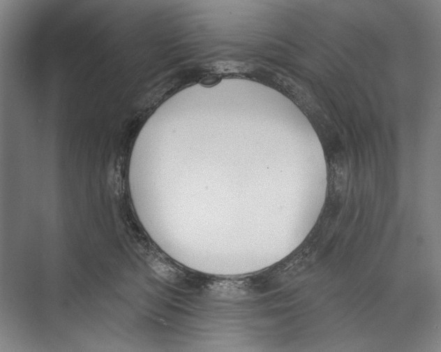 X0000071910422200608041414